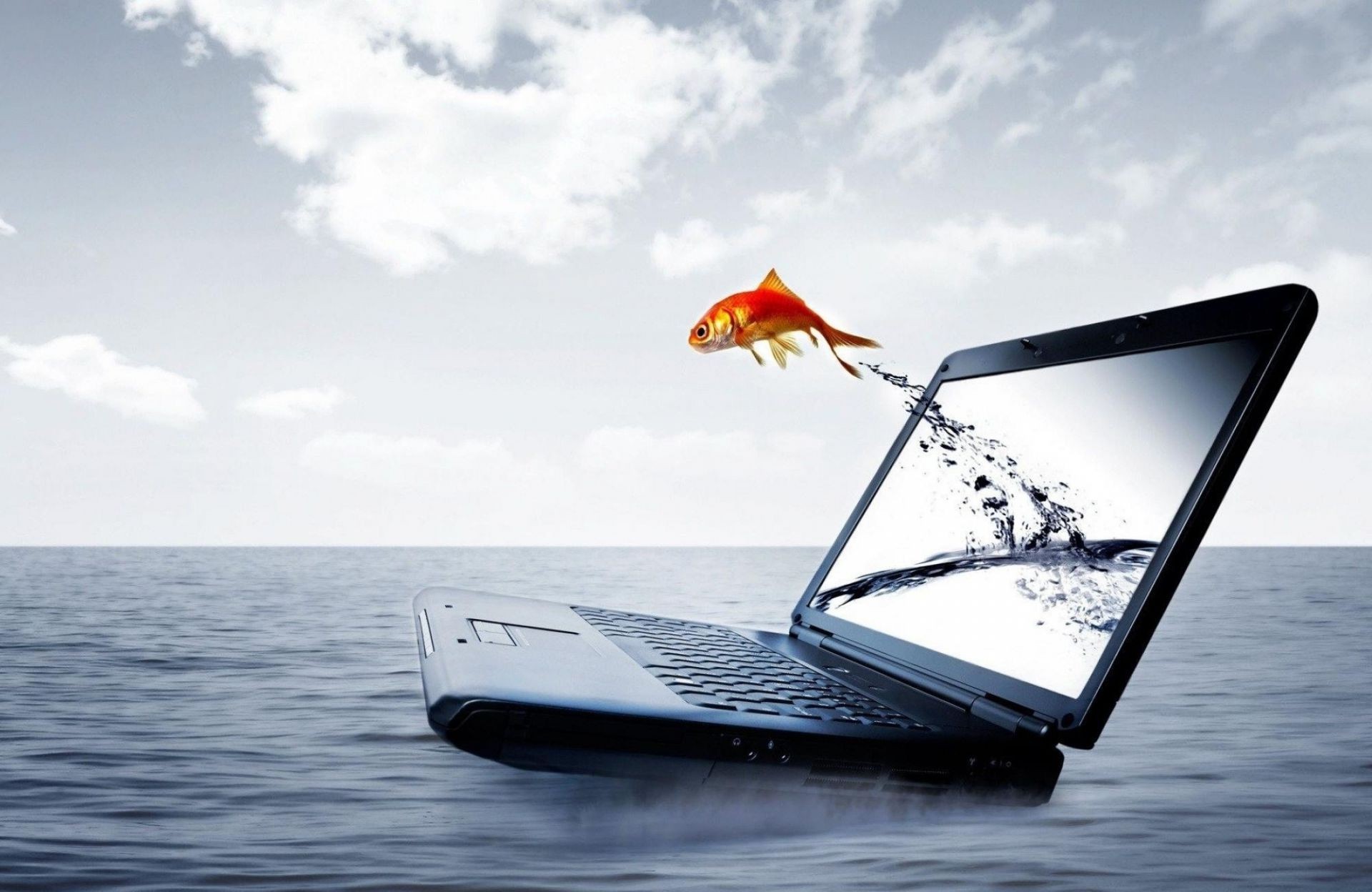 personal computer acqua mare oceano cielo viaggi tecnologia auto mare