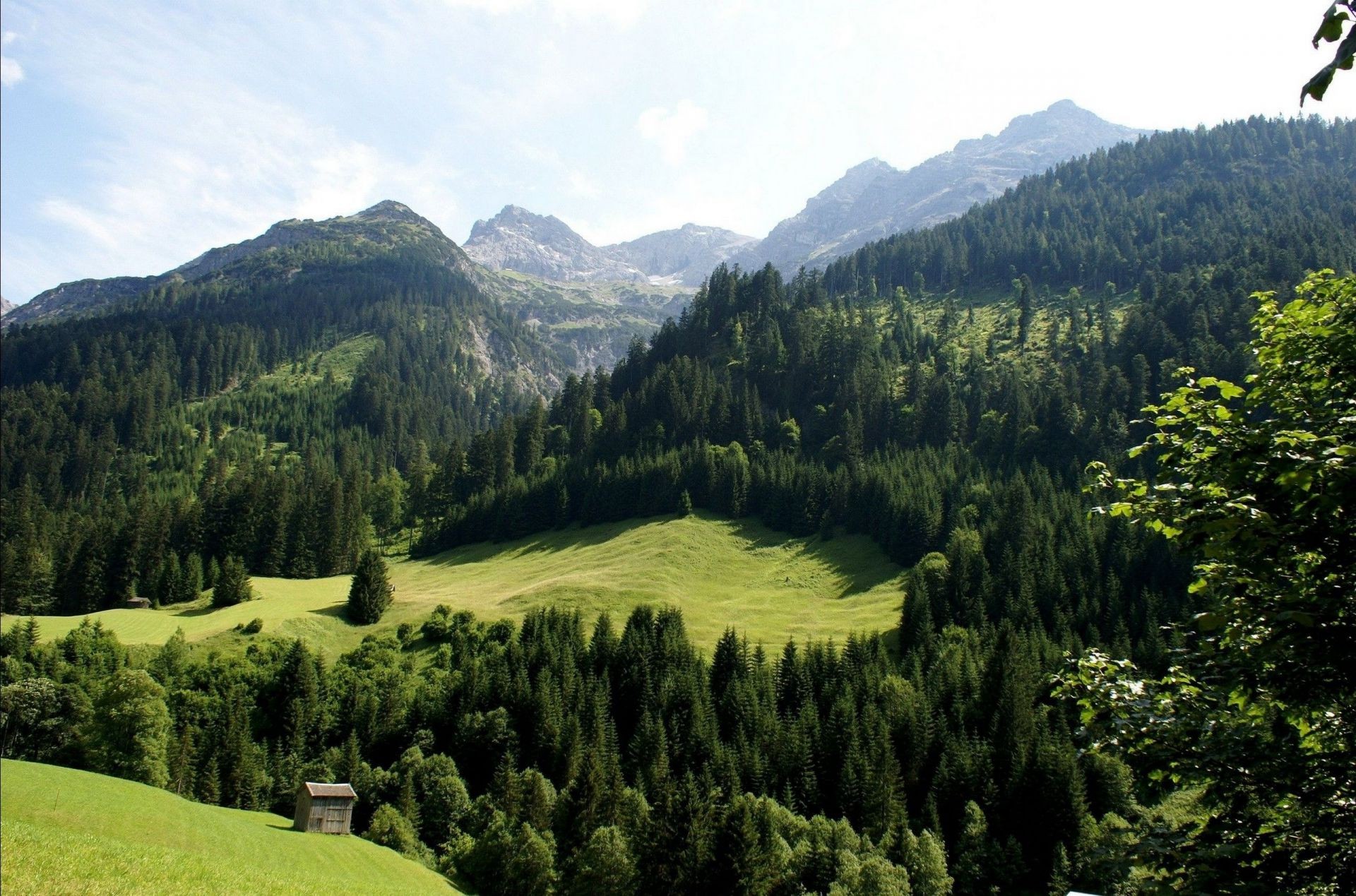 landscapes mountain landscape wood tree valley nature scenic hill travel outdoors daylight summer sky conifer