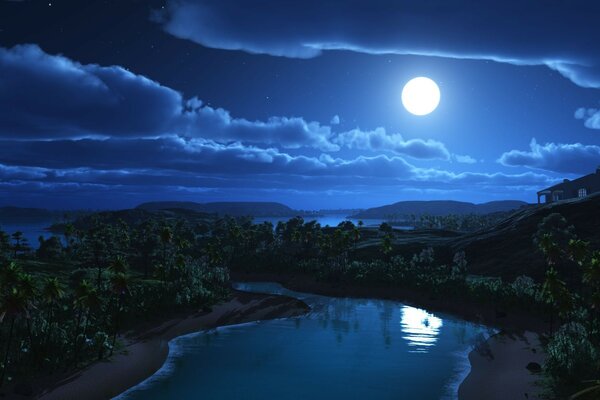 Moon hills and palm trees. Beautiful night landscape