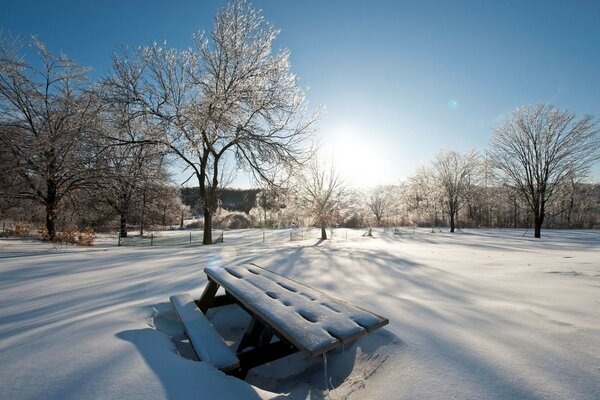 Winter. Landscape. Frozen bench
