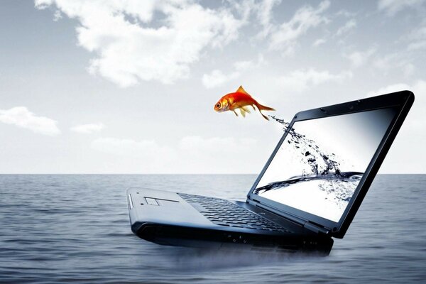 Goldfish jumping out of the monitor