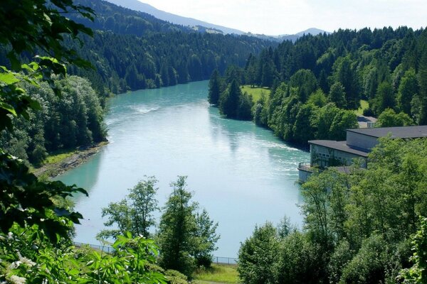 Ormanın çerçevesindeki dağ nehri