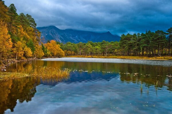 Nature is reflected in the surface of the lake