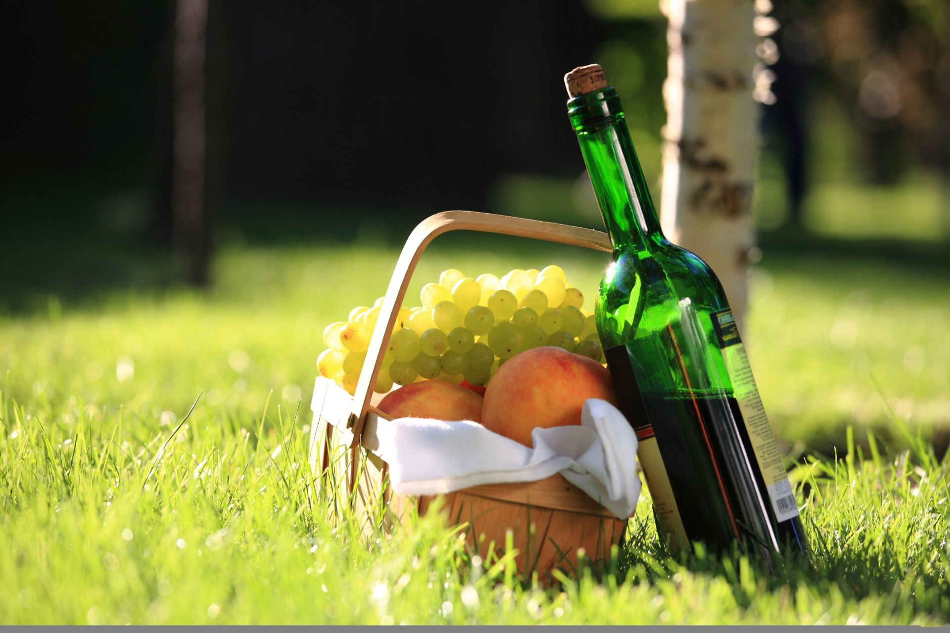 nourriture et boissons herbe été nature pelouse champ à l extérieur jardin parc foin pique-nique loisirs