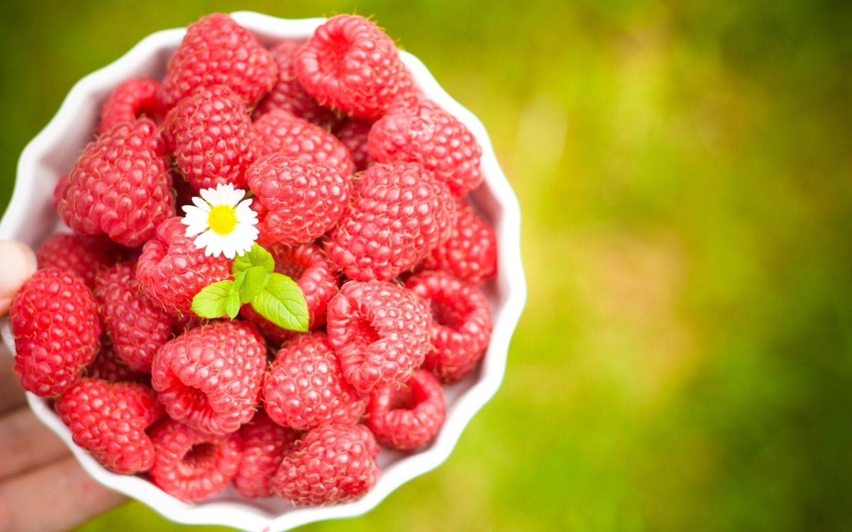 berries food fruit sweet delicious juicy berry healthy raspberry confection diet nutrition tasty nature health refreshment close-up freshness strawberry summer