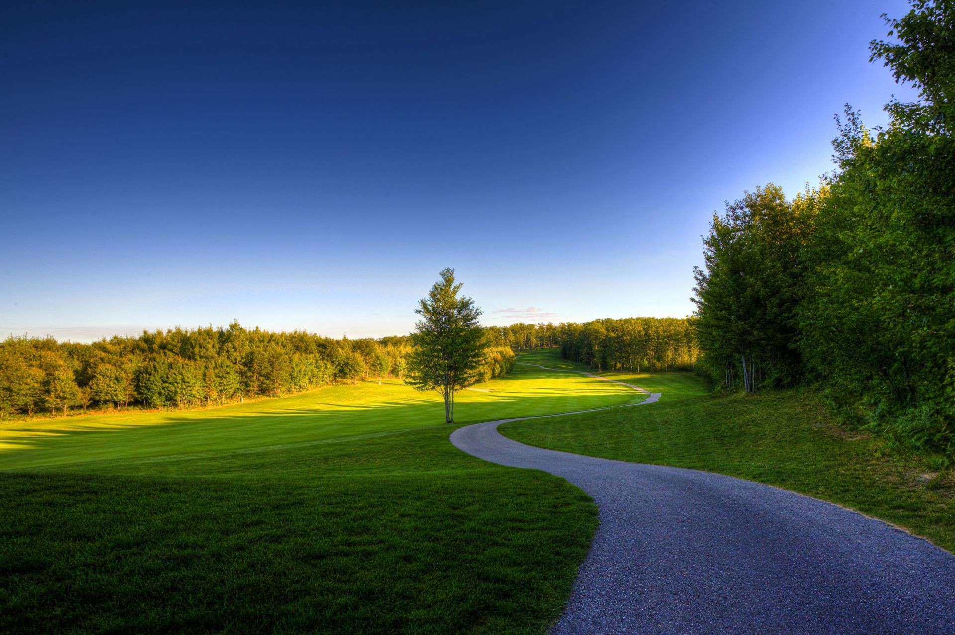 fields meadows and valleys grass landscape road tree outdoors golf nature countryside sky guidance hayfield