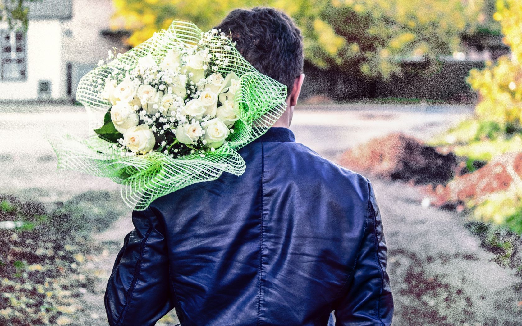 fiori all aperto natura autunno al di fuori parco foglia ritratto estate giardino una stagione fiore tempo libero uomo