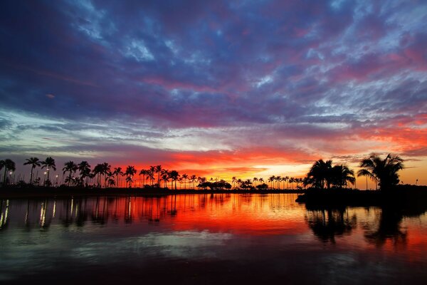 Hermosa puesta de sol y costa con palmeras