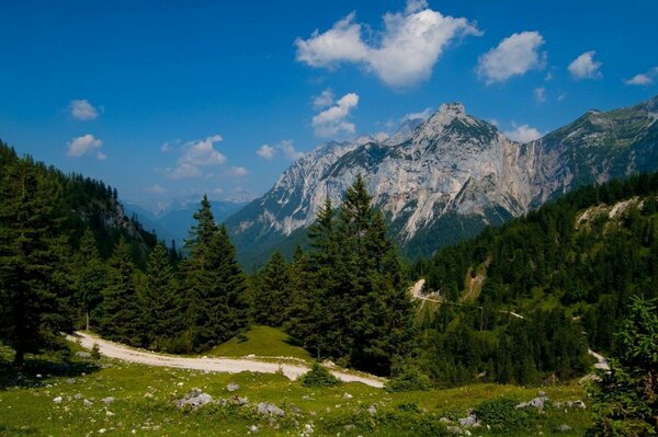 Mountains blue sky clouds green fir trees and the road