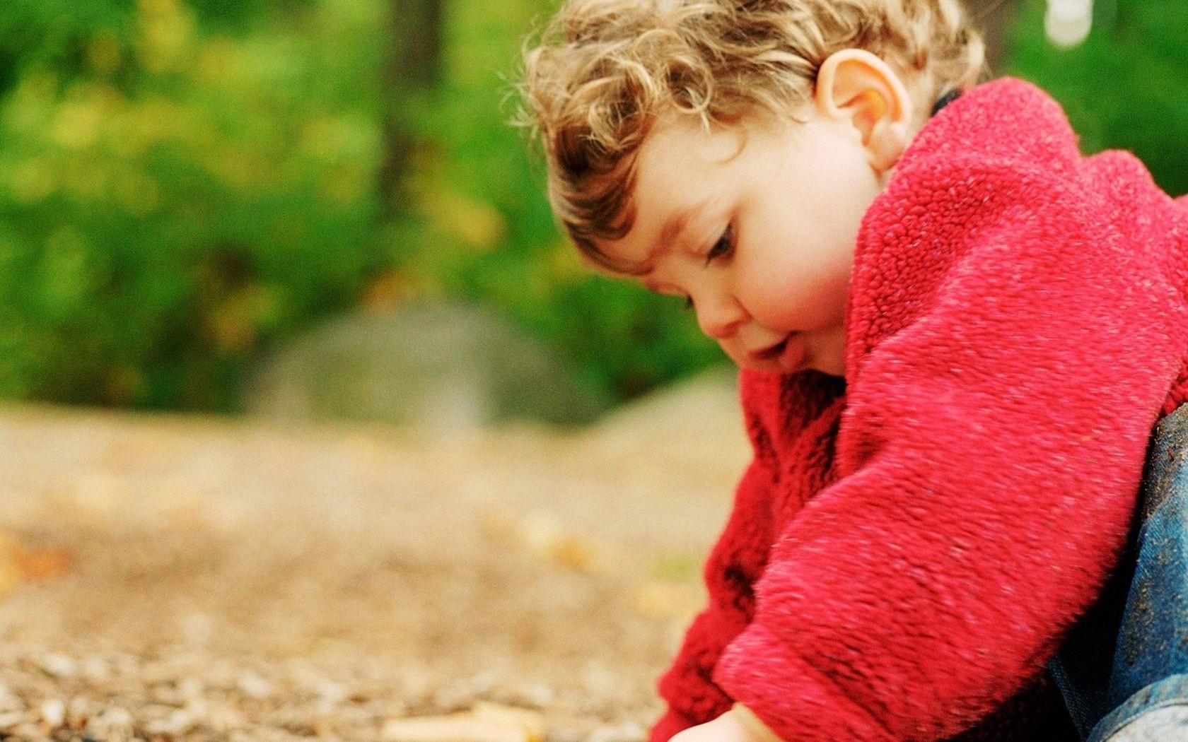 enfants enfant nature à l extérieur mignon fille enfant parc automne peu unique plaisir herbe portrait été loisirs belle amour enfant bonheur