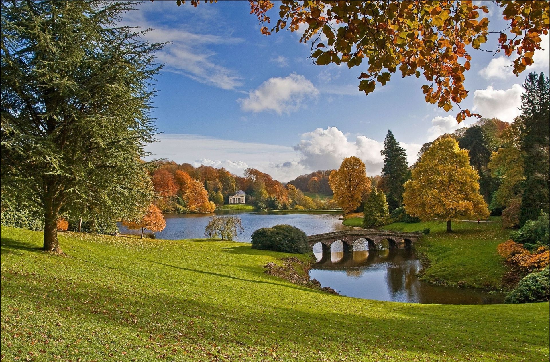 rivières étangs et ruisseaux étangs et ruisseaux arbre automne à l extérieur nature paysage feuille lac herbe parc scénique bois beau temps été piscine idylle saison campagne ciel plesid