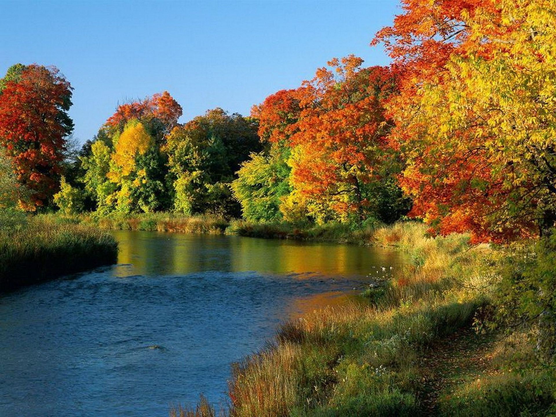 ríos estanques y arroyos estanques y arroyos otoño árbol hoja naturaleza al aire libre paisaje río lago agua madera parque escénico luz del día temporada sangre fría