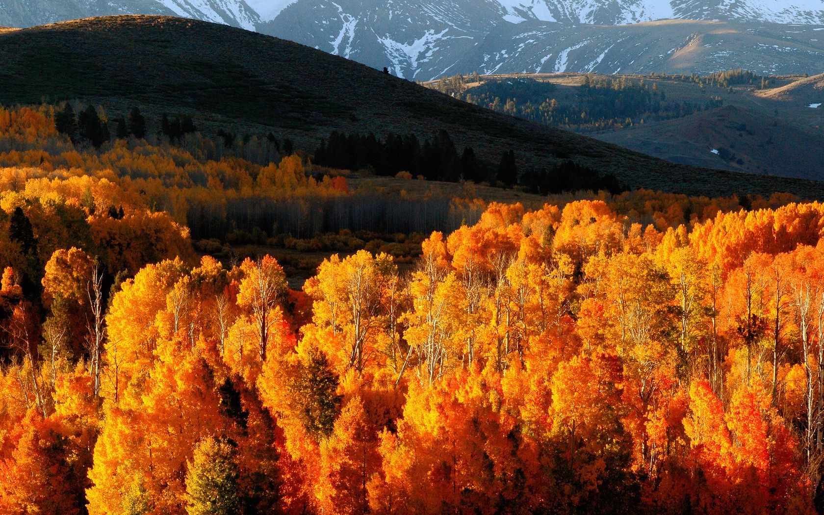 montagnes automne à l extérieur paysage bois nature montagnes bois scénique voyage neige