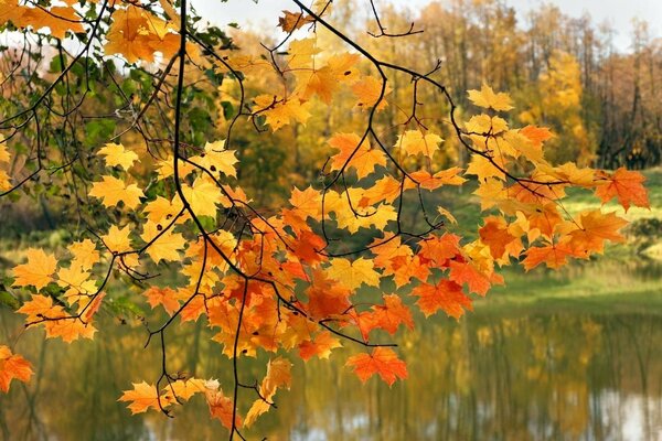 È il momento autunnale degli occhi