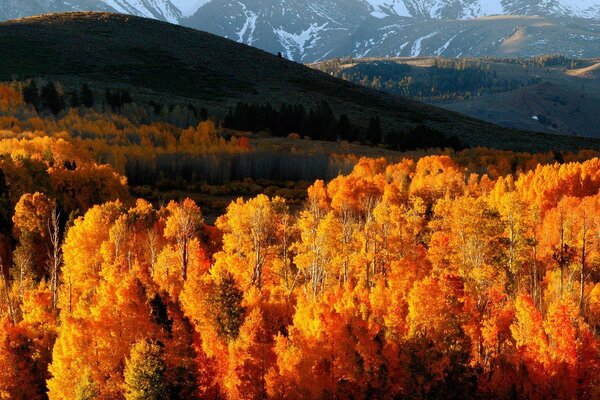 Mañana en las montañas de otoño, al aire libre