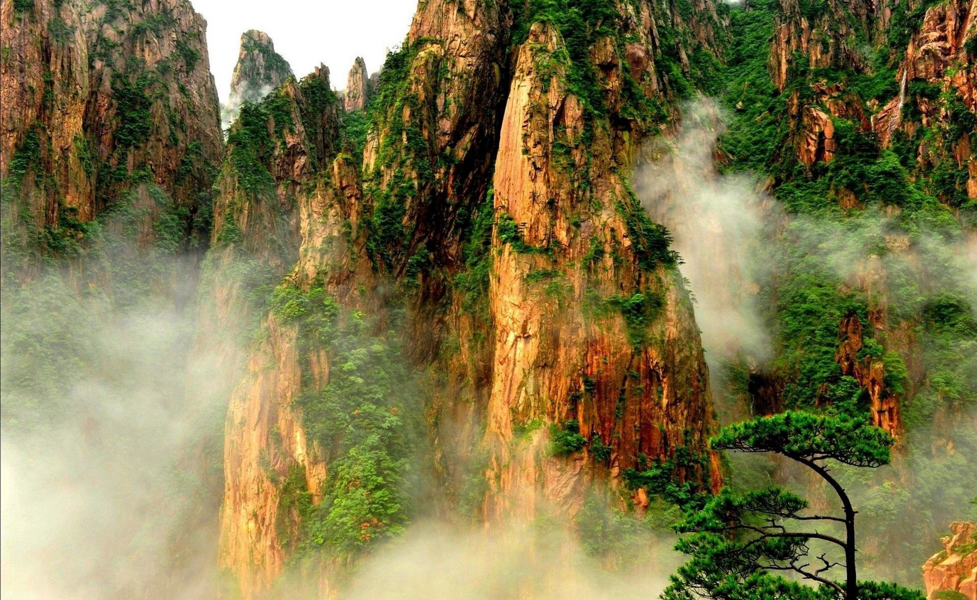 parchi natura all aperto in legno paesaggio albero nebbia viaggio parco nebbia autunno acqua scenic montagna ambiente foglia estate