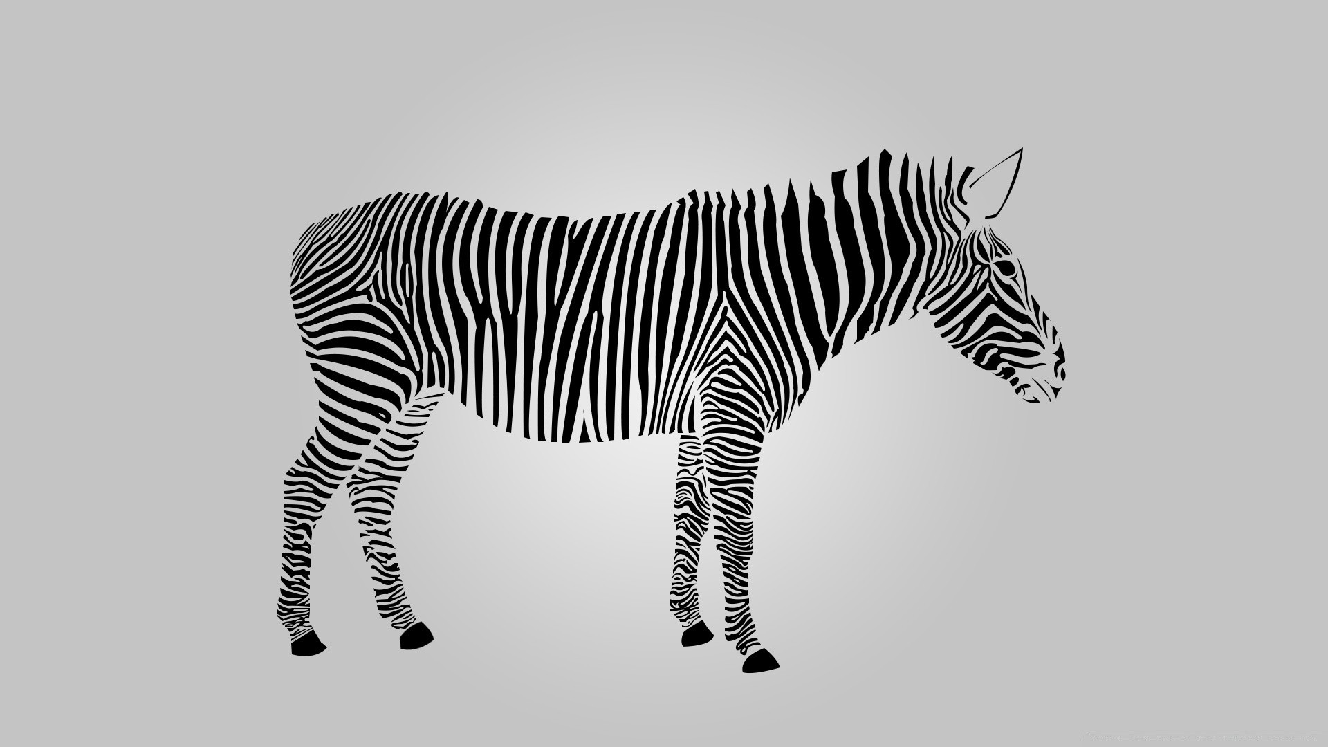 graphisme vectoriel zèbre safari faune mammifère animal élevage de chevaux savane bande sauvage herbivore zoo nature tête