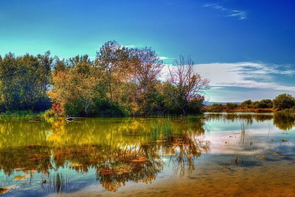 Trees reflected in the river surface