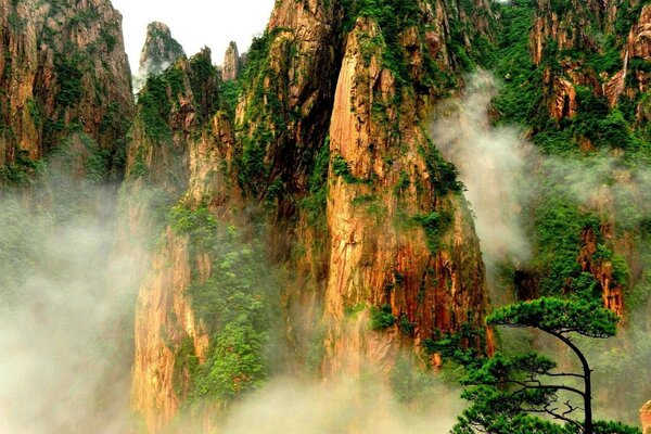 Berge mit seltener Vegetation im nebeligen Dunst