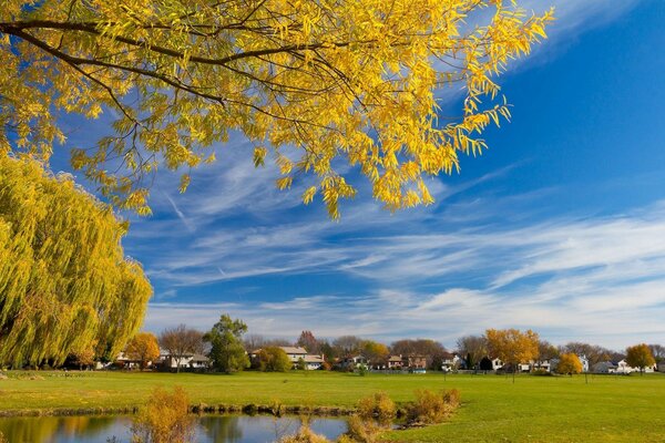 Willow pond houses sky autumn trees village meadow landscape