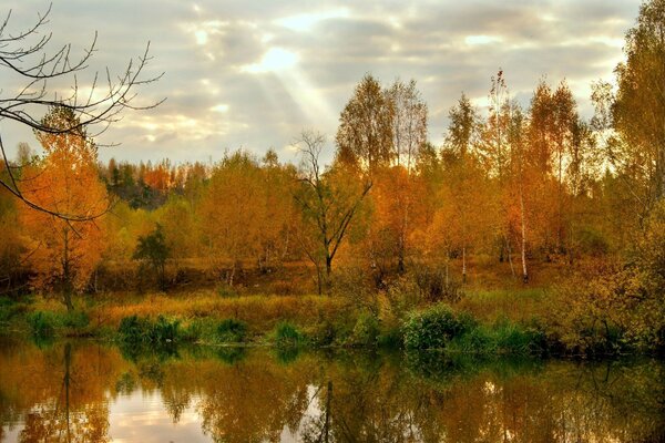 Природа Осінь Дерева жовте листя озеро