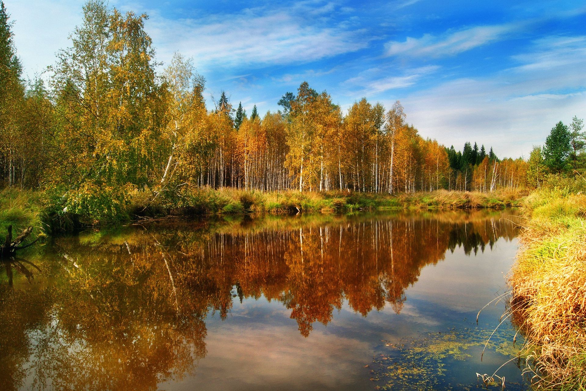 rivers ponds and streams fall nature lake tree wood water landscape outdoors reflection leaf river composure pool scenic fair weather sky season dawn park