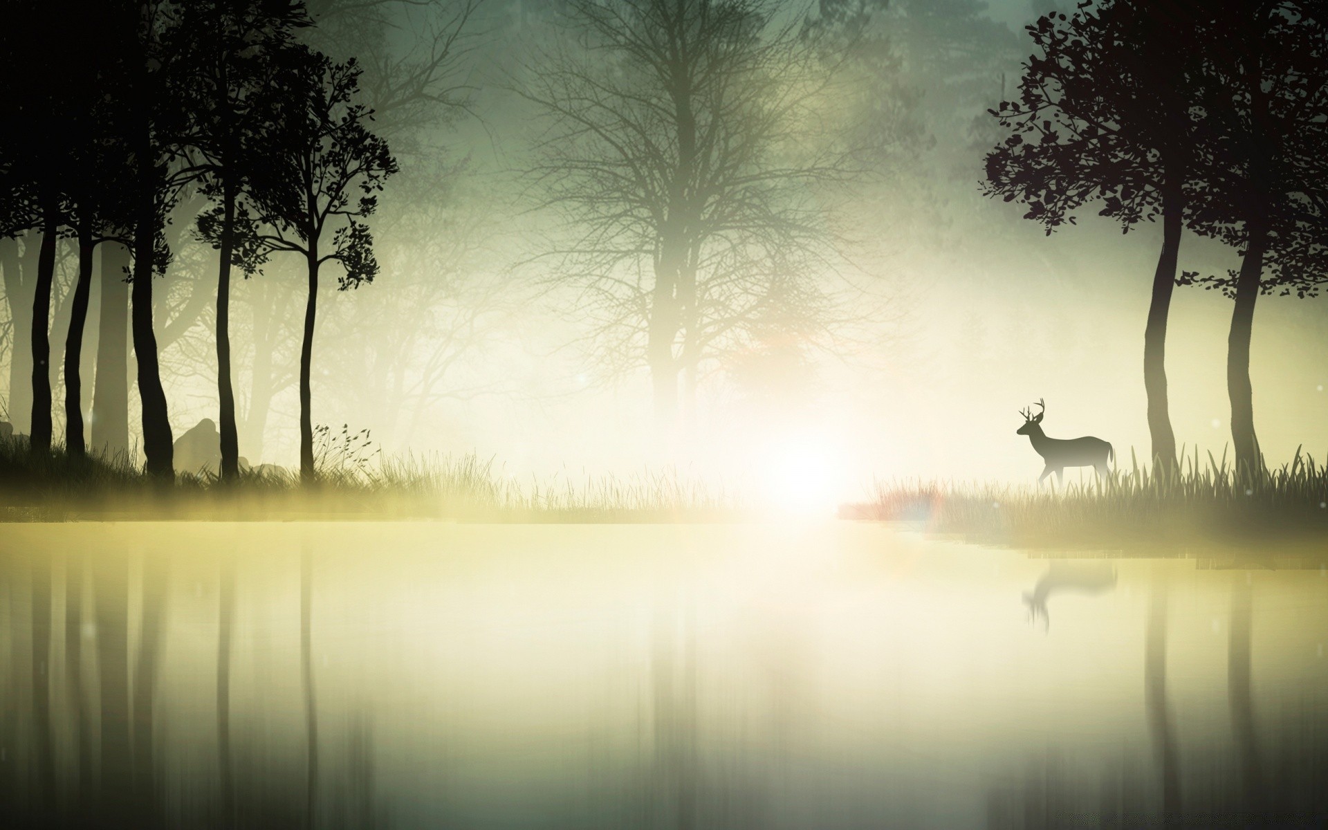 vektorgrafik dämmerung nebel nebel see wasser landschaft reflexion baum sonnenuntergang silhouette hintergrundbeleuchtung fluss natur sonne holz