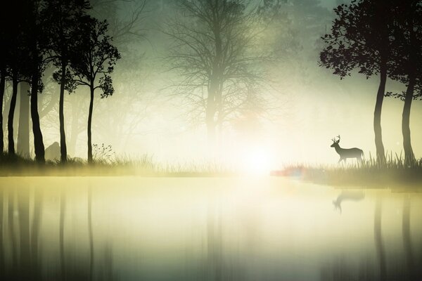 Niebla sobre el lago. Ciervos en el bosque. Harry Potter