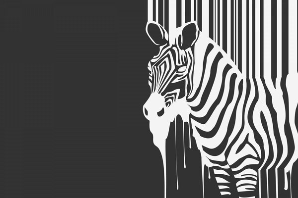 A blurred zebra on a black background