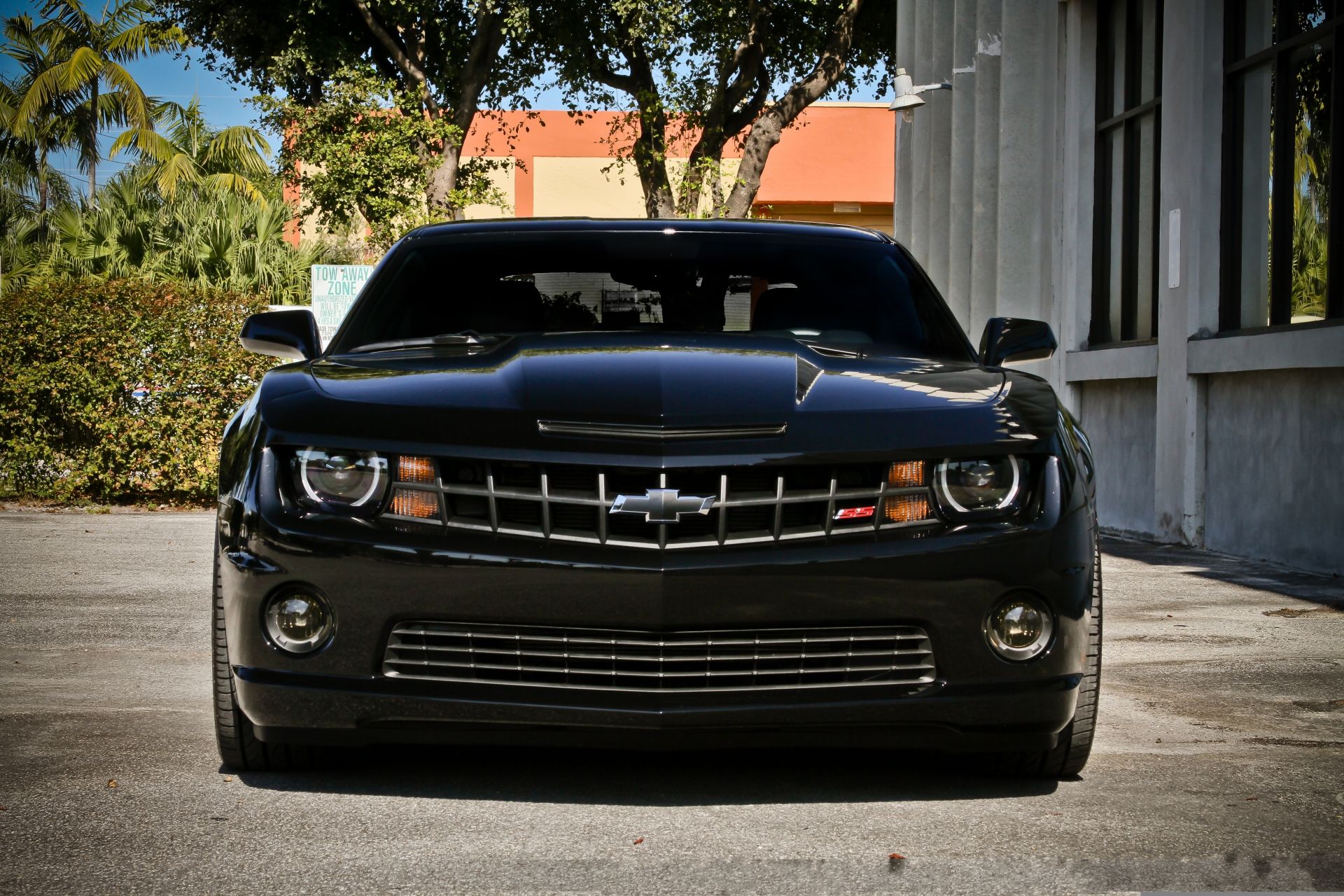 carros esportivos carro carro sistema de transporte capô roda clássico calçada estrada automóvel disco