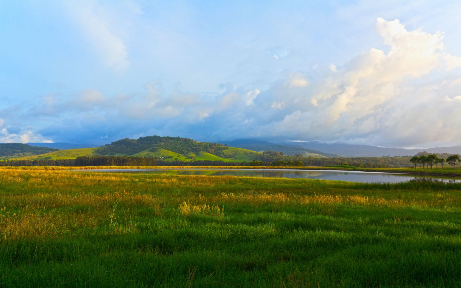 grass landscape nature sky field summer rural outdoors agriculture countryside pasture sun hayfield farm fair weather