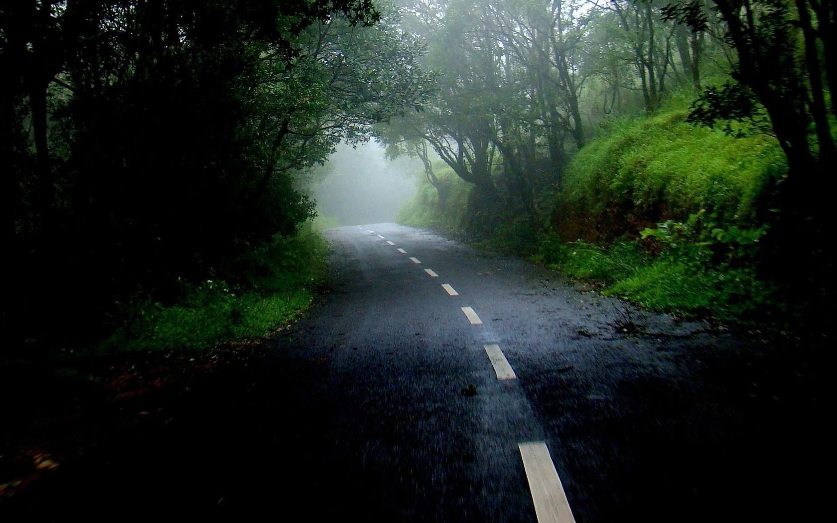 route paysage bois bois guide lumière parc brouillard nature aube environnement brouillard empreinte feuille voyage scénique