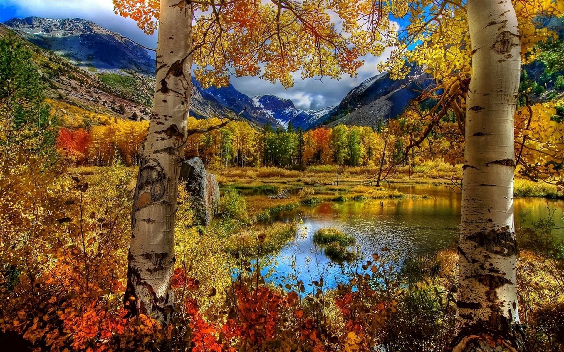 lago autunno albero foglia legno natura paesaggio stagione all aperto parco scenic ramo betulla acqua cielo paesaggio flora ambiente colore