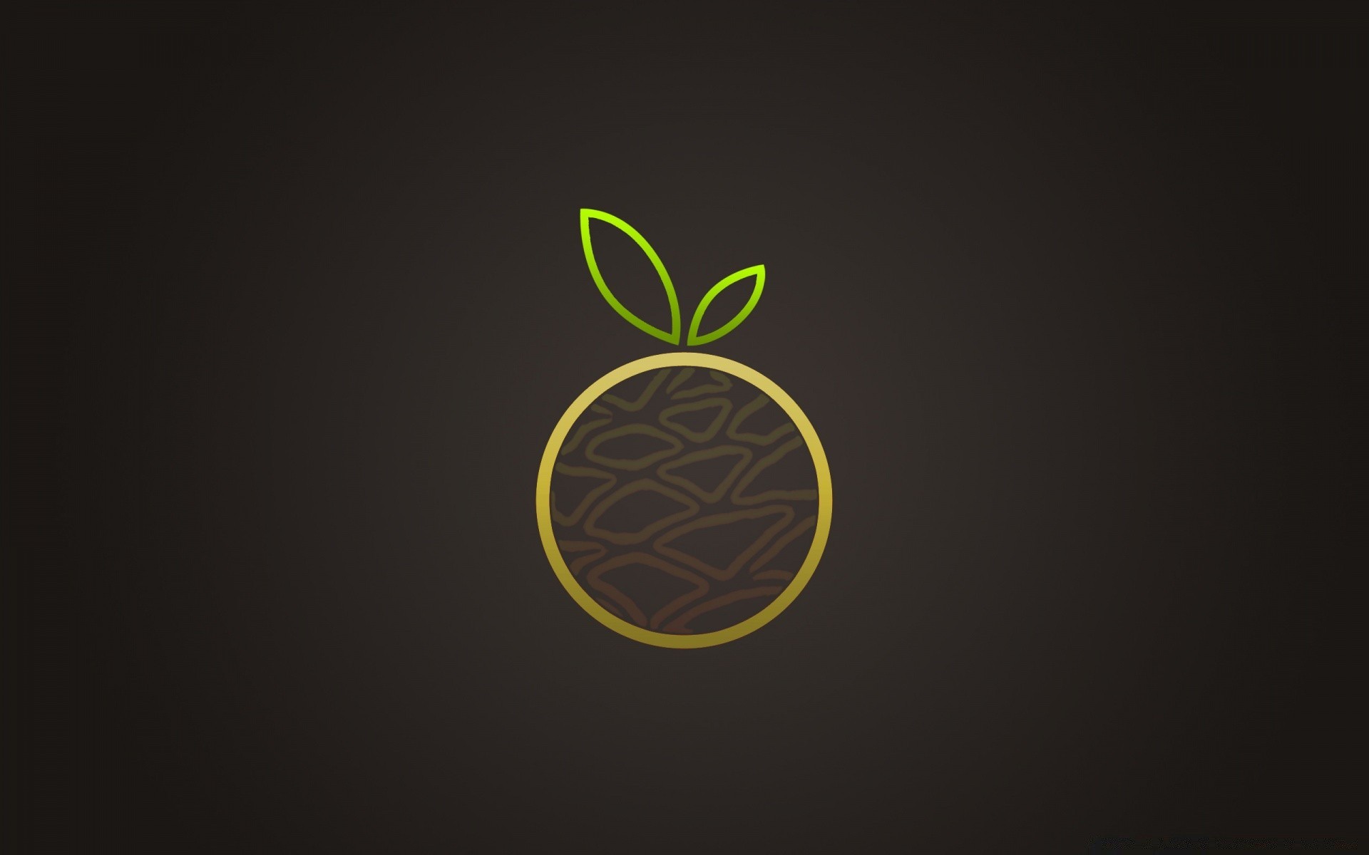 Orange Fruit Vector Art Android Wallpapers