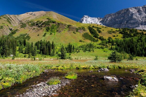 Mountains greenery grass Trees Landscape Nature