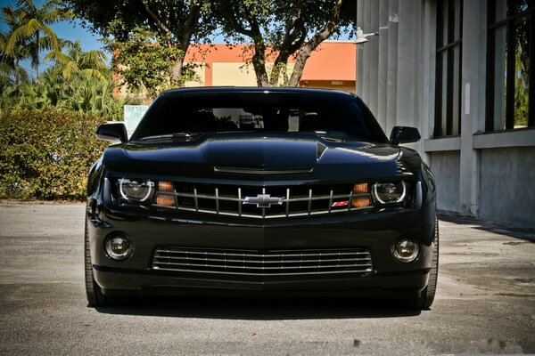 Negro brutal coche listo para la aventura