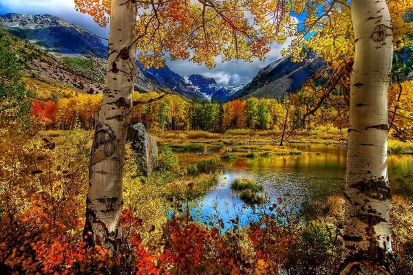 Fond d écran forêt d automne près de l étang