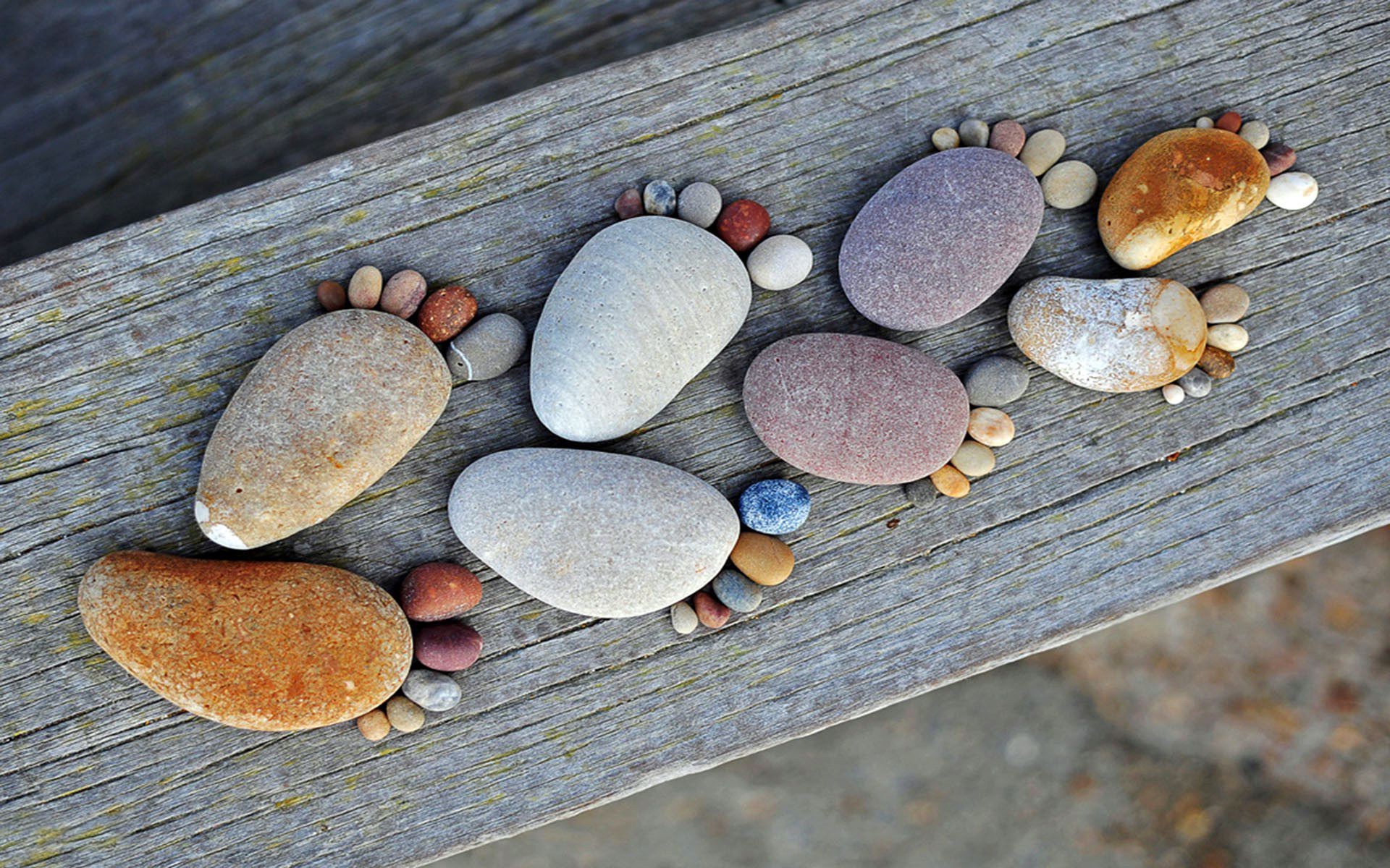 humor und satire natur desktop textur essen schließen holz zen