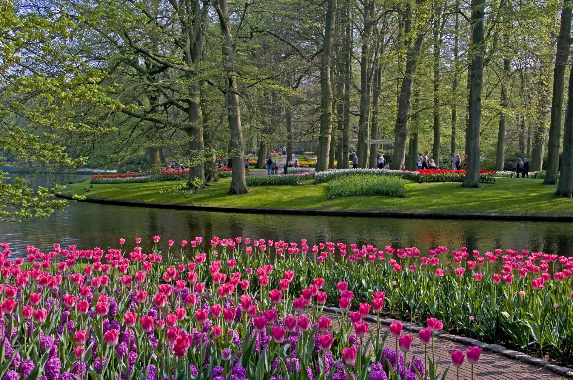 lugares famosos natureza paisagem flor parque folha tulipa jardim temporada flora ao ar livre verão árvore primavera grama cor ambiente