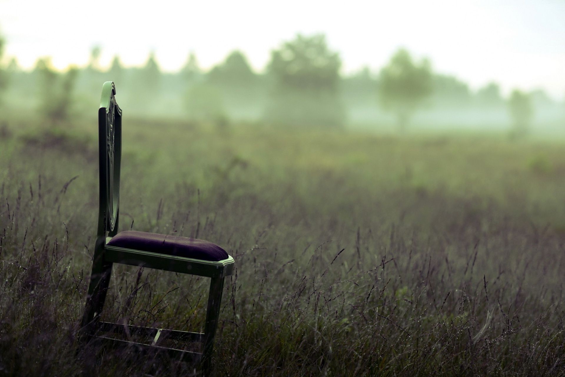 desert landscape sunset grass dawn tree field nature wood seat outdoors hayfield