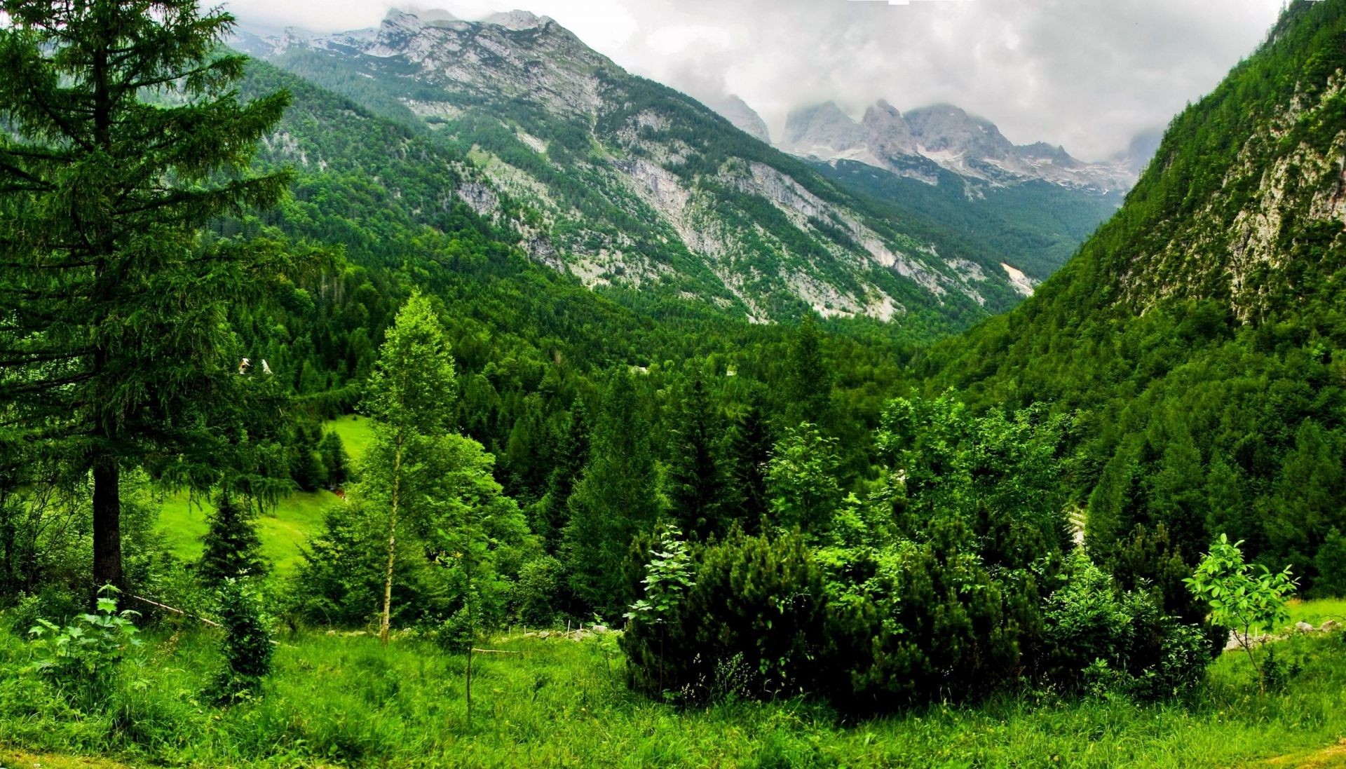 山 山 景观 自然 木材 山 树 旅游 山谷 户外 天空 夏天 风景 奇观 草 风景 干草 植物