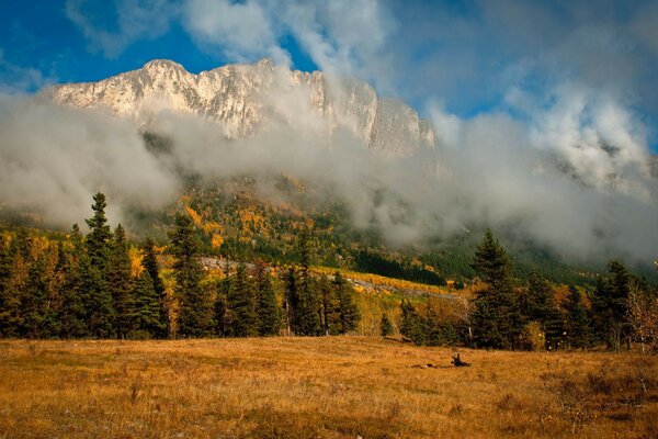 A landscape depicting mountains, forests and clouds