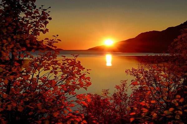 Herbst Himmel Sonne Sonnenuntergang Strahlen Berge Zweige Laub Meer