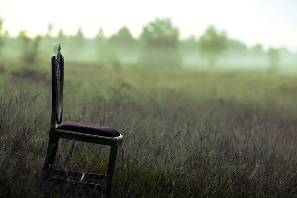 La sedia si trova sullo sfondo di un campo e alberi