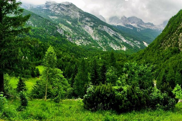 La belleza del paisaje de las montañas verdes