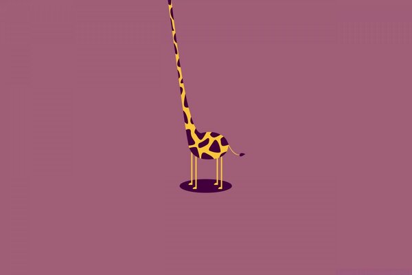 Vector graphics giraffe picture