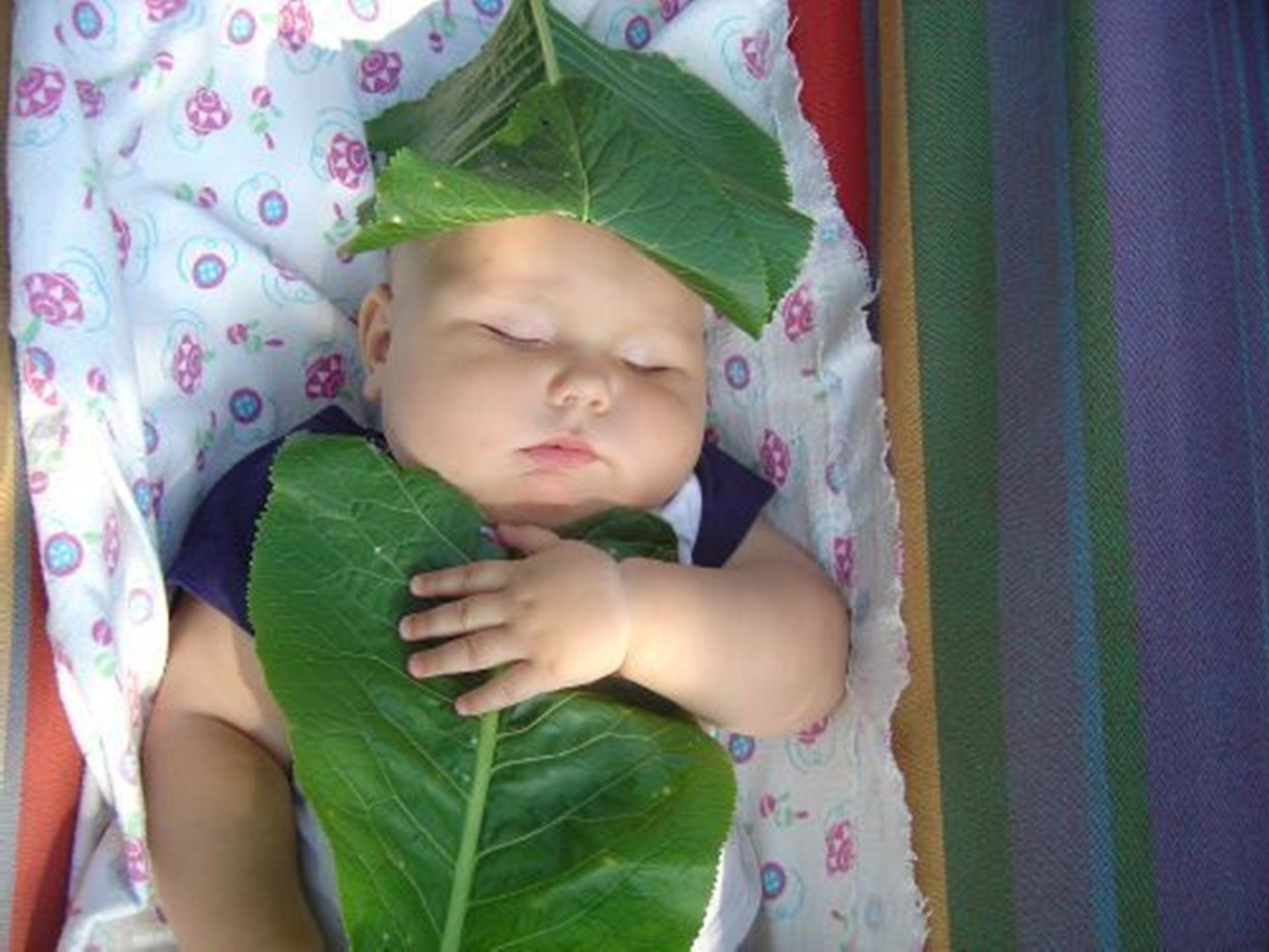 dormir niños bebé bebé niña solo inocencia pequeño retrato lindo niño recién nacido niño cama desgaste cubierta hermosa familia