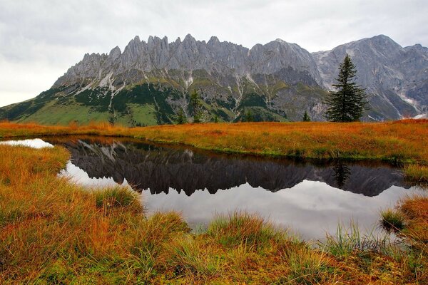 Paysage de montagne automne avec étang