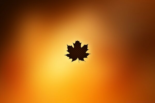 Autumn leaf on a beautiful background