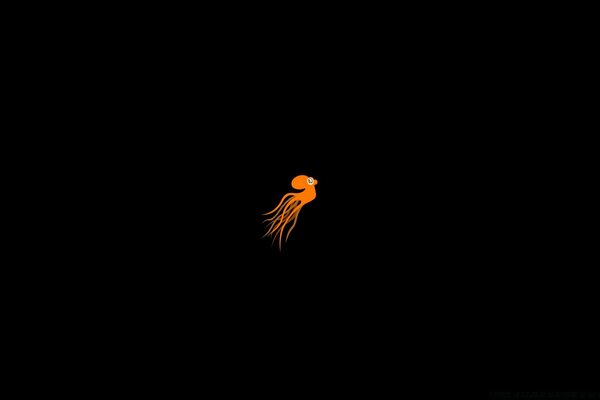 Black background with octopus